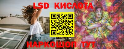 трава Новодвинск