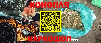 сатива Новокубанск