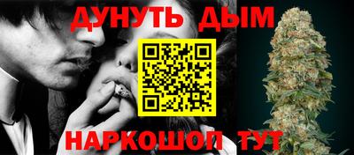 сатива Новокубанск