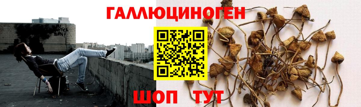 Галлюциногенные грибы ЛСД Тавда