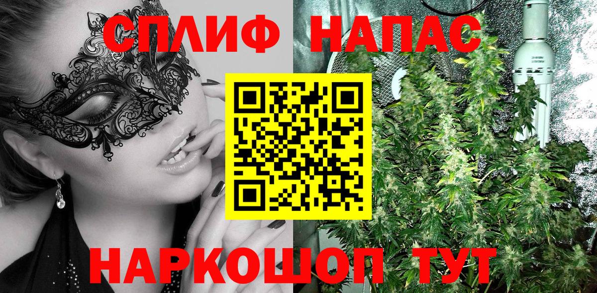 Каннабис сатива Тавда